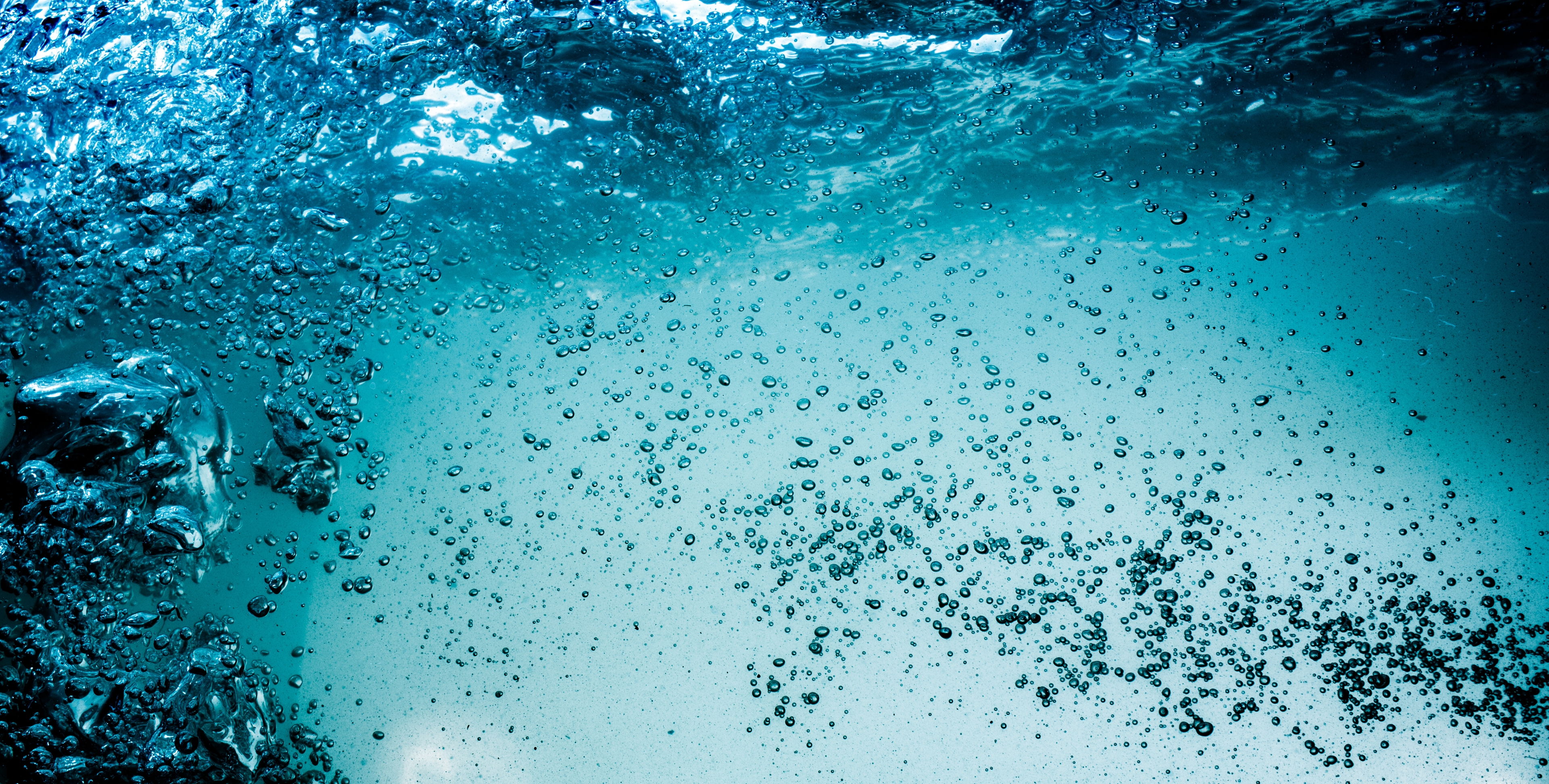 air bubbles in the water